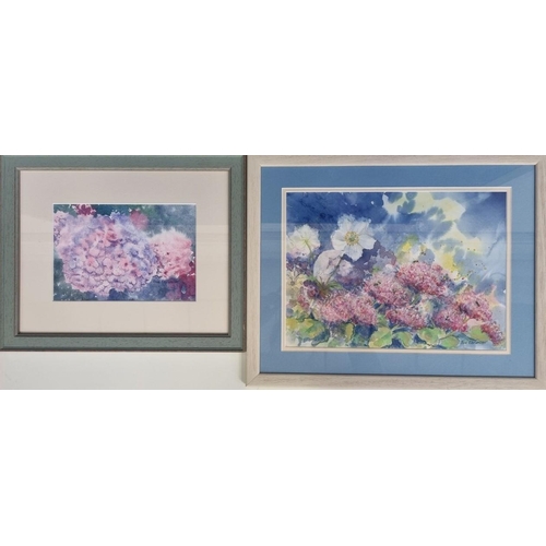 365 - Two original watercolour paintings, by Sue Ebrahim, British. 'Hydrangeas' & a larger, floral scene w... 