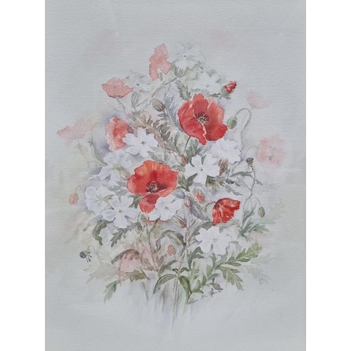 366 - An original 'Poppies and Campions' watercolour painting, by Helen M. Frank, British, dated 1991. Fra... 