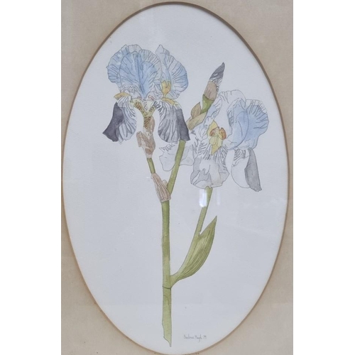 292 - A well-executed, large watercolour study of twin Iris flowers, signed & dated by the artist 'Beatric... 