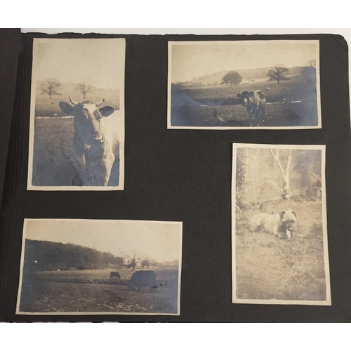 362 - A small collection of WWI wartime & family photographs, with frame & album.