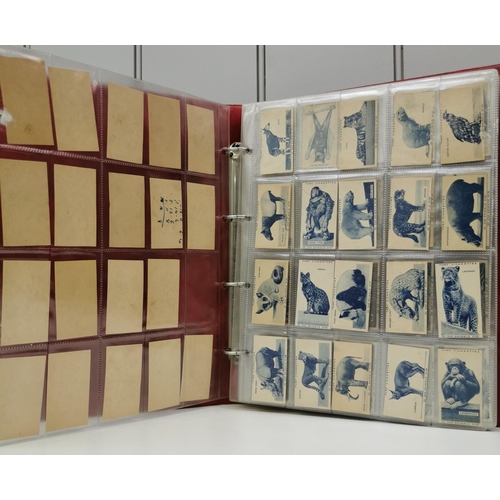 1616 - A collector's album of cigarette cards. To include: Turf Cigarettes - '50 Zoo Animals', '50 British ... 