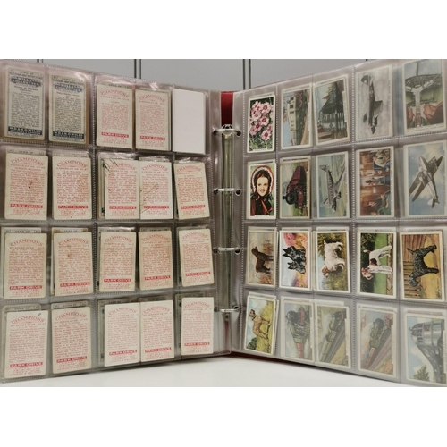 1616 - A collector's album of cigarette cards. To include: Turf Cigarettes - '50 Zoo Animals', '50 British ... 