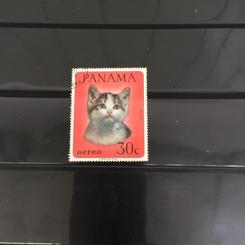 1626 - Two partially-completed stamp albums , with a 'Cats of the World' theme.