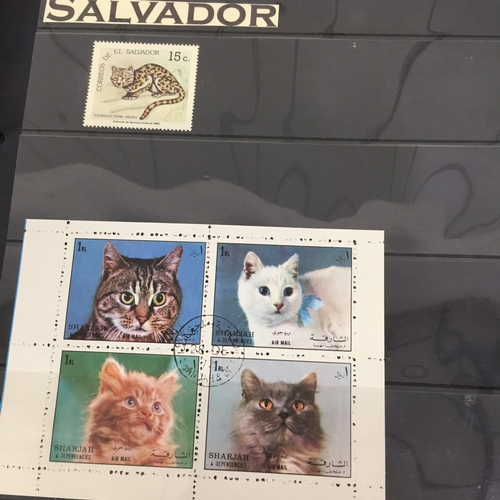 1626 - Two partially-completed stamp albums , with a 'Cats of the World' theme.