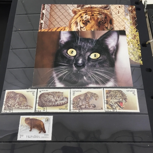 1626 - Two partially-completed stamp albums , with a 'Cats of the World' theme.