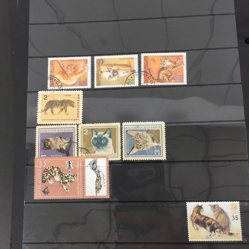 1626 - Two partially-completed stamp albums , with a 'Cats of the World' theme.