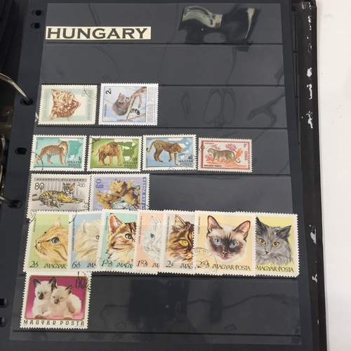 1626 - Two partially-completed stamp albums , with a 'Cats of the World' theme.