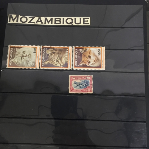 1626 - Two partially-completed stamp albums , with a 'Cats of the World' theme.