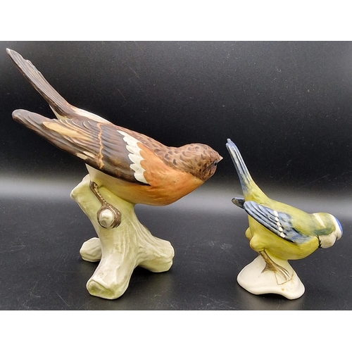 470 - Two vintage 'Goebel' bird figures. To include Brambling & Blue Titmouse. Heights 13cm/9cm.