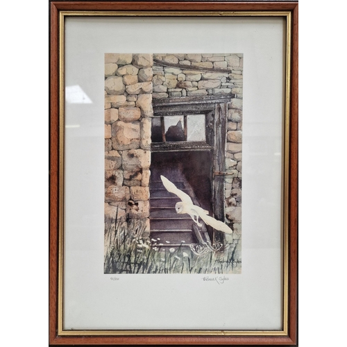 337 - A limited edition, framed print, by Thelma Sykes, depicting a Barn Owl in flight. Limited 161/550. F... 