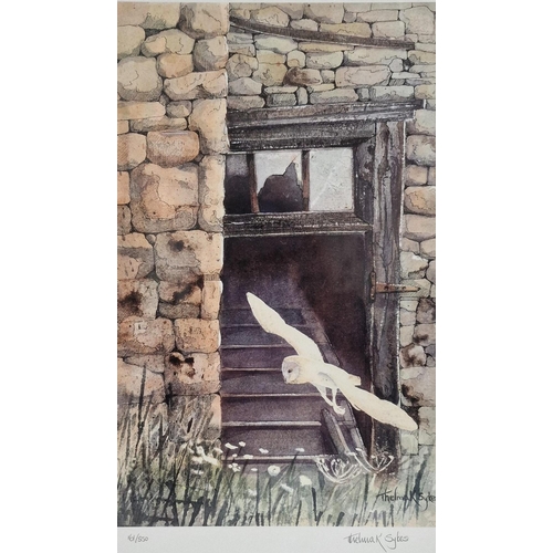 337 - A limited edition, framed print, by Thelma Sykes, depicting a Barn Owl in flight. Limited 161/550. F... 