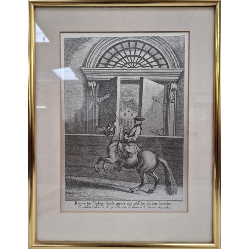 339 - A vintage framed lithograph, with German & French commentary, translates as 'The gallop raised to th... 