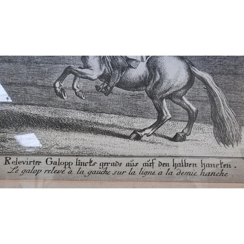 339 - A vintage framed lithograph, with German & French commentary, translates as 'The gallop raised to th... 