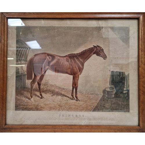 340 - An antique, framed/coloured lithograph depicting 'The Princess' racehorse, winner of the Epsom Oaks ... 