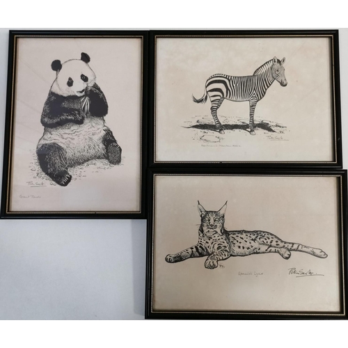 381 - A collection of three framed wildlife prints. Two by Si Peter Scott. Framed dimensions 22cm x 30cm, ... 