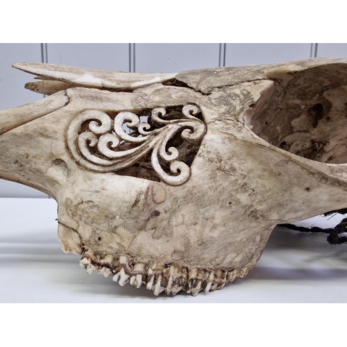 374 - Wall decoration - an intricately carved bull skull. Dimensions (cm) H56, W55, D16.