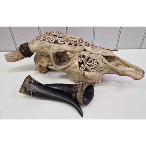 374 - Wall decoration - an intricately carved bull skull. Dimensions (cm) H56, W55, D16.