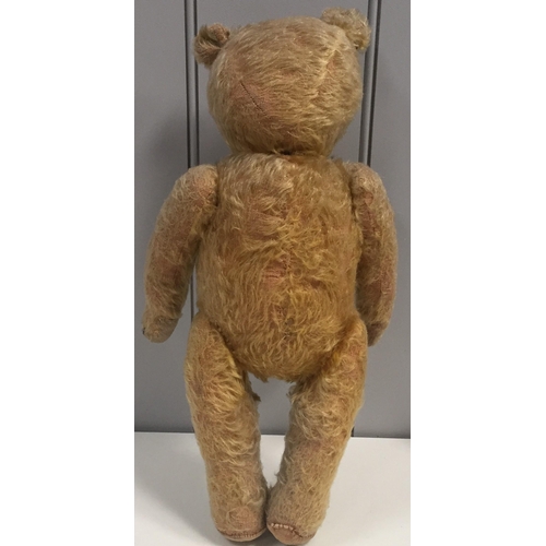 798 - An early 1900's teddy bear. Glass eyes, stitched/elongated snout, long limbs, straw-filled, growler ... 