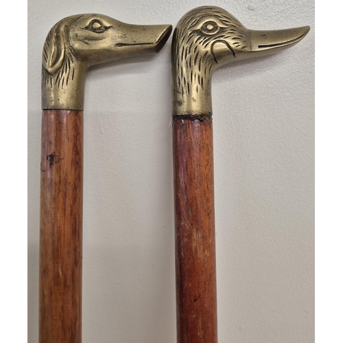 4809 - Two vintage, brass-head walking sticks. To include dog & duck heads. Respective lengths 90cm & 91cm.