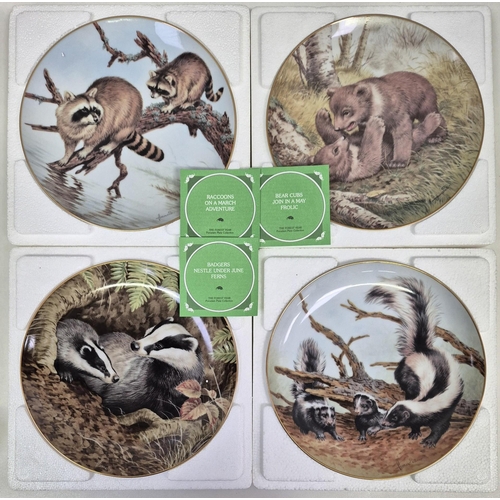 4913 - A full set of twelve, boxed 'The Forest Year' collector's plates by John Francis, for The Collectors... 