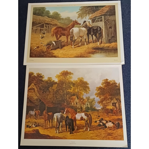 4919 - A collection of 12 unframed wildlife/farmyard prints. Largest 61cm  x86cm, smallest 32cm x 35cm.