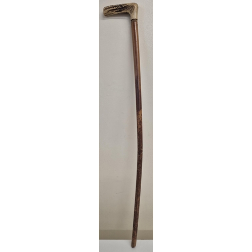 4810 - An early 20th century, bone-handled walking stick. Length 84cm.