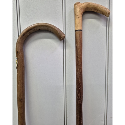 4963 - Two vintage walking sticks. Lengths 93cm & 100cm.