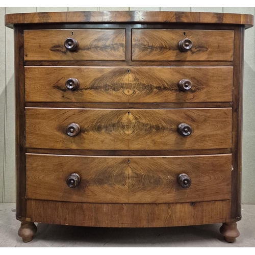 1 - A beautiful, bow-fronted, flame mahogany chest of two over three graduated drawers. No key present. ... 