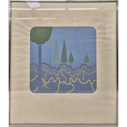 67 - Julia Matcham (British 1933- ) framed screenprint, signed & numbered 25/75. Framed dimensions 59.5cm... 