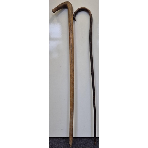 205 - A duo of early 20th century walking sticks.