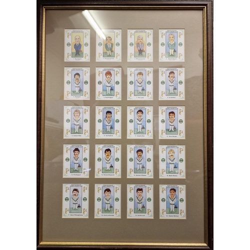 251 - A set of twenty framed Worcestershire County Cricket Club trading cards. produce by Cofton Collectio... 