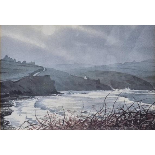 231 - Alun Davies (Welsh - current) pair of framed watercolours 'Lower Town, Fishguard' & Abereiddy Reflec... 