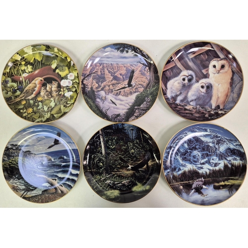 675 - A collection of 12 Danbury Mint wildlife-themed collector's display plates.