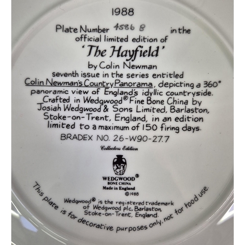 685 - A collection of 12 Wedgwood - Colin Newman's Country Panorama collector's display plates. Mostly com... 