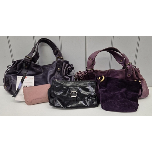A collection of four designer handbags & a purse. To include 'Radley', 'Dollargrand', 'Gerard Darel'(x2), 'DKNY' & 'Ted Baker'.