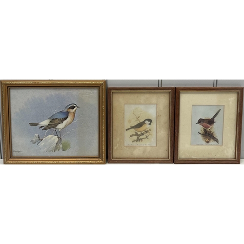 713 - Framed Prints(x8). To include bird studies, Moonlight Camps by John Freeman (limited edition 80/750)... 