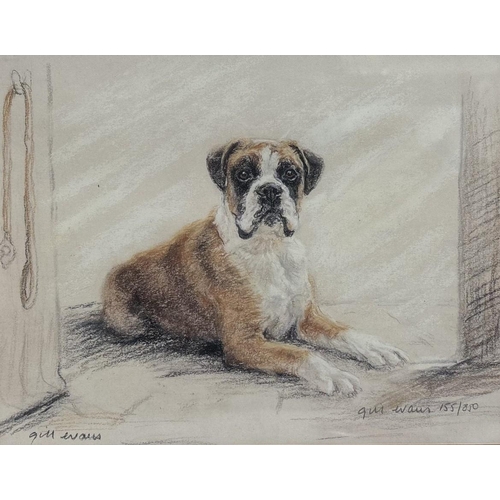 714 - Gill Evans - 'Boxer' limited-edition framed print, no.155/850. Framed dimensions 32cm x 37cm.
