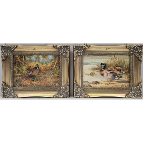 Lot 1804      