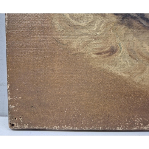 1381 - An early 20th century oil on canvas, head portrait of a St Bernard dog. Artist monogram RAR. De-fram... 