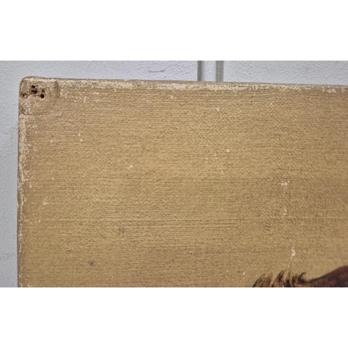 1381 - An early 20th century oil on canvas, head portrait of a St Bernard dog. Artist monogram RAR. De-fram... 