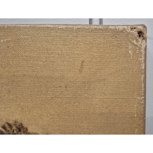 1381 - An early 20th century oil on canvas, head portrait of a St Bernard dog. Artist monogram RAR. De-fram... 