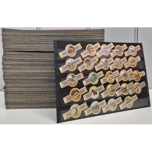 Lot 1579      