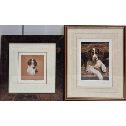 Lot 2436      