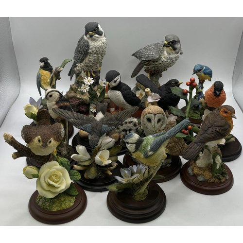 Lot 2446      