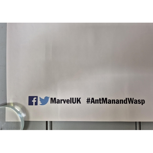 7036 - 'Ant-Man and the Wasp' movie poster.

Produced by: Marvel
Year: 2018
Size: Quad