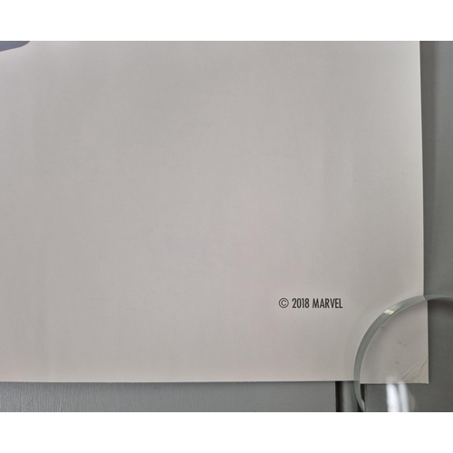 7036 - 'Ant-Man and the Wasp' movie poster.

Produced by: Marvel
Year: 2018
Size: Quad