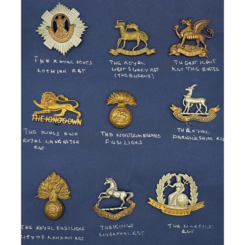 14 - Collection of 18 Army cap badges. To include Royal Scots; Queen's (Royal West Surrey); The Buffs (Ro... 
