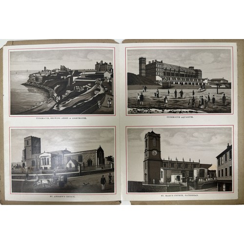 2409 - Collection of Victorian & later cabinet photo albums & greetings cards. To include Cabinet Album of ... 