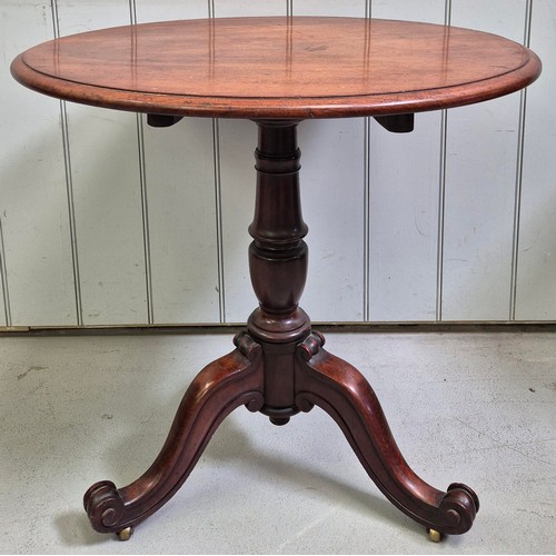 Lot 2536      