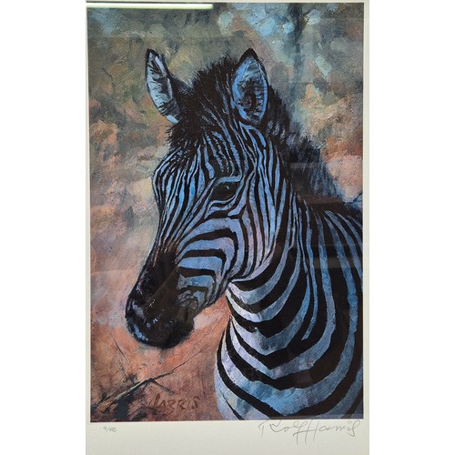271 - 3 framed prints. To include Young Zebra, by Rolf Harris (limited edition 9/195, with certificate); m... 